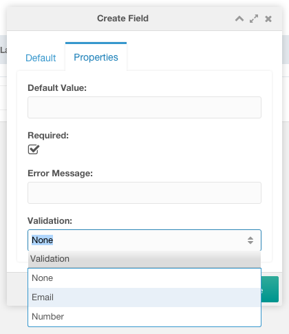 Validation Field